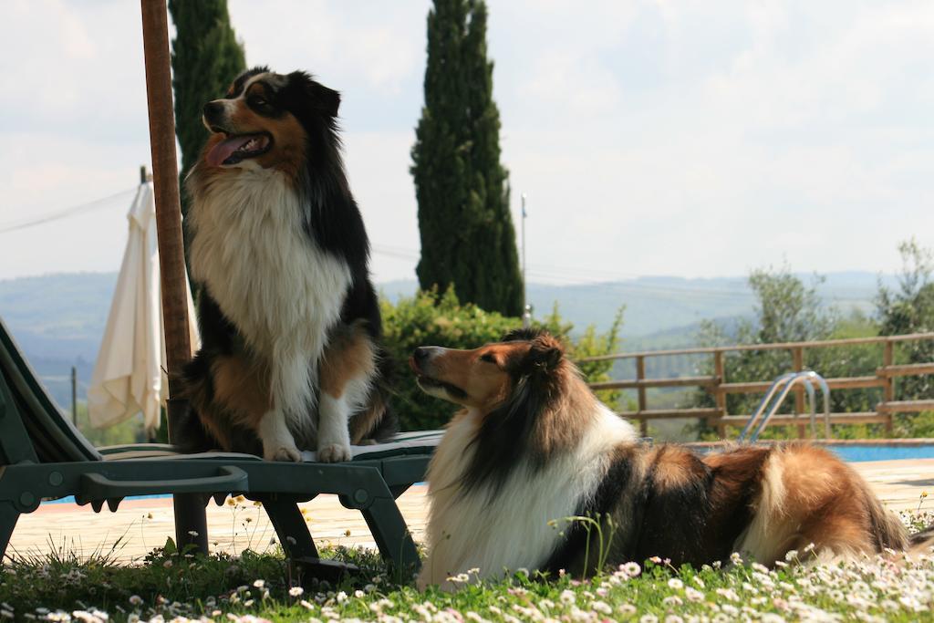 Agriturismo Il Torrione Lecchi ภายนอก รูปภาพ