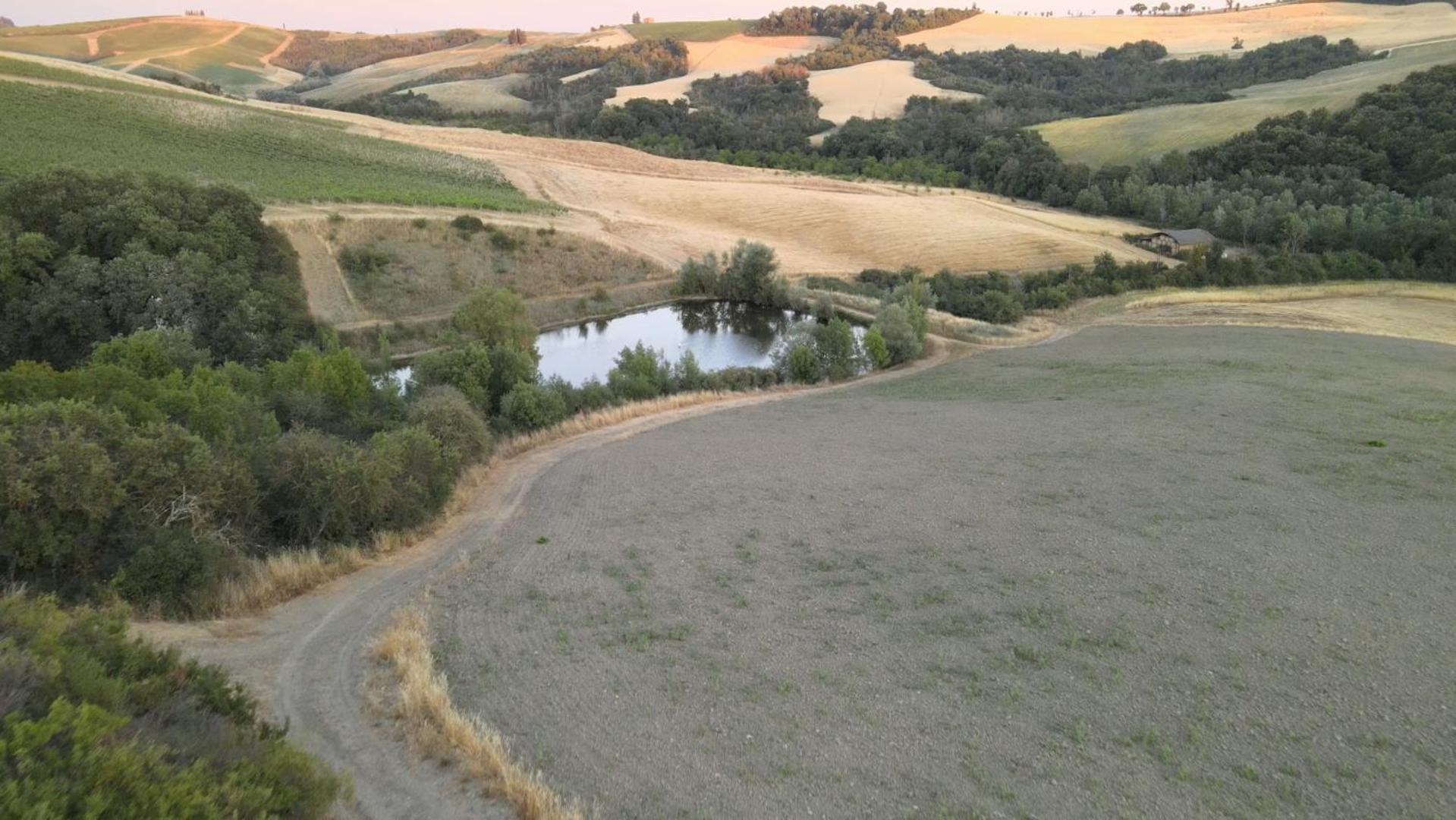 Agriturismo Il Torrione Lecchi ภายนอก รูปภาพ